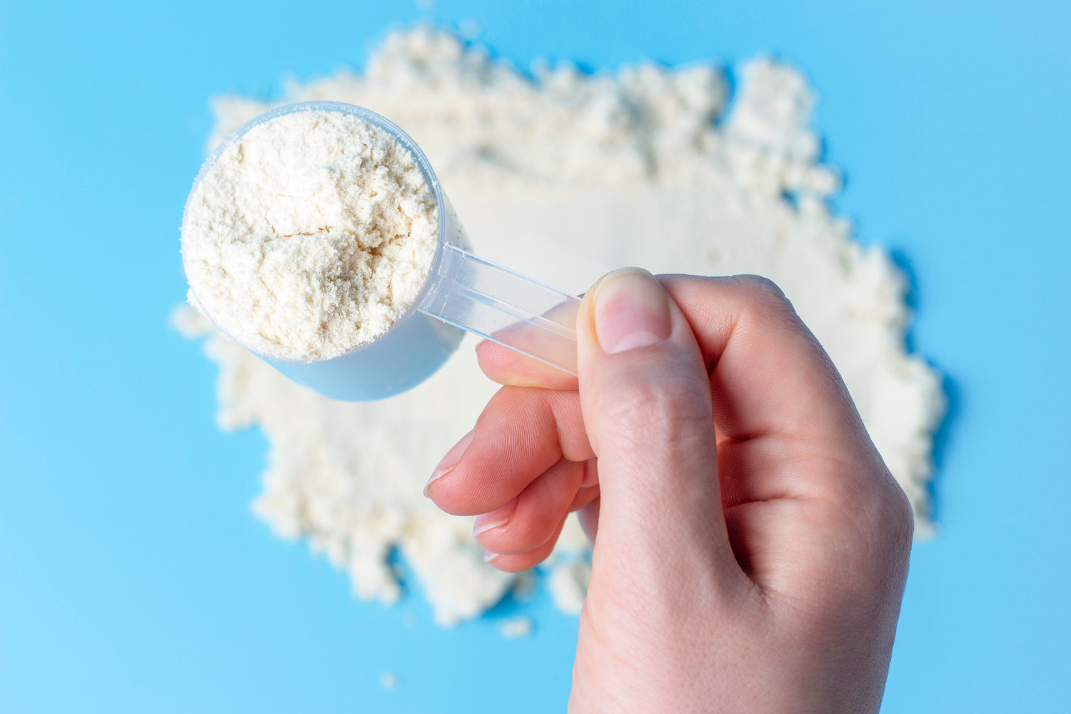 Kann Proteinpulver ablaufen? Haltbarkeit, MHD und Lagerung beachten