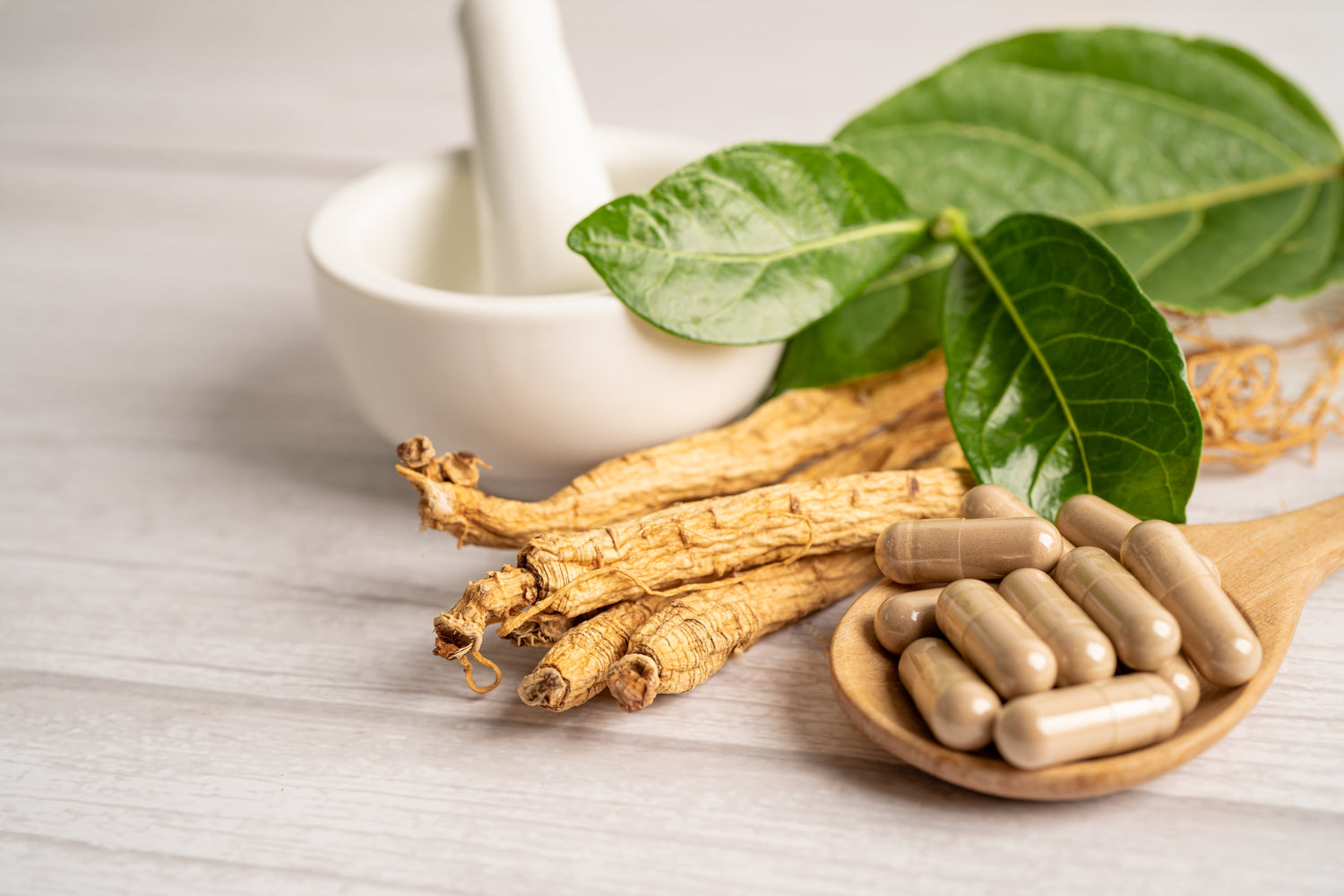 Ashwagandha: Heilpflanze gegen Stress – Was du wissen solltest