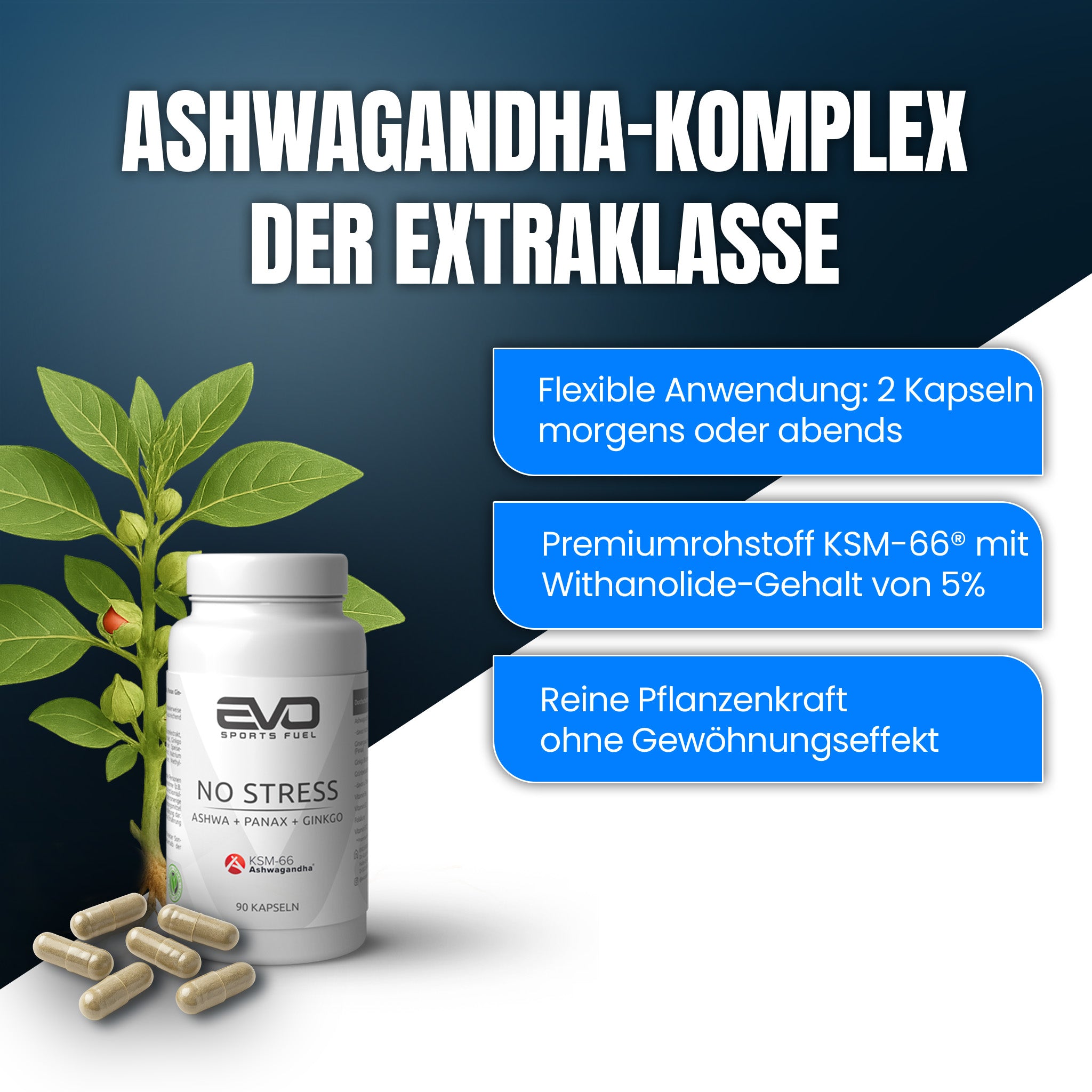 Ashwagandha-Komplex mit Premium Rohstoff und ohne Gewöhnungseffekt