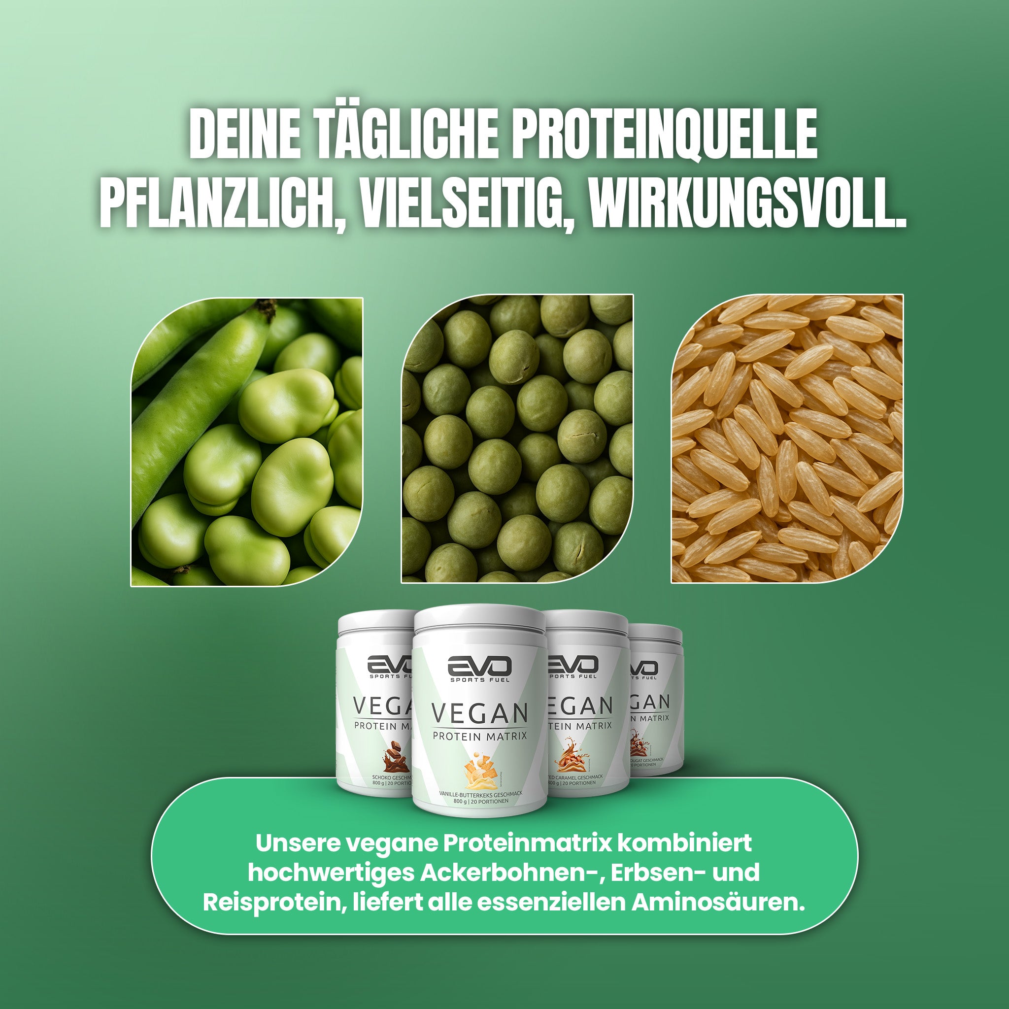 EVO veganes Proteinpulver enthält hochwertige pflanzliche Proteine aus Ackerbohnen, Erbsen und Reis mit allen essenziellen Aminosäuren.